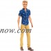 Barbie Fashionista Ken Doll   551929498